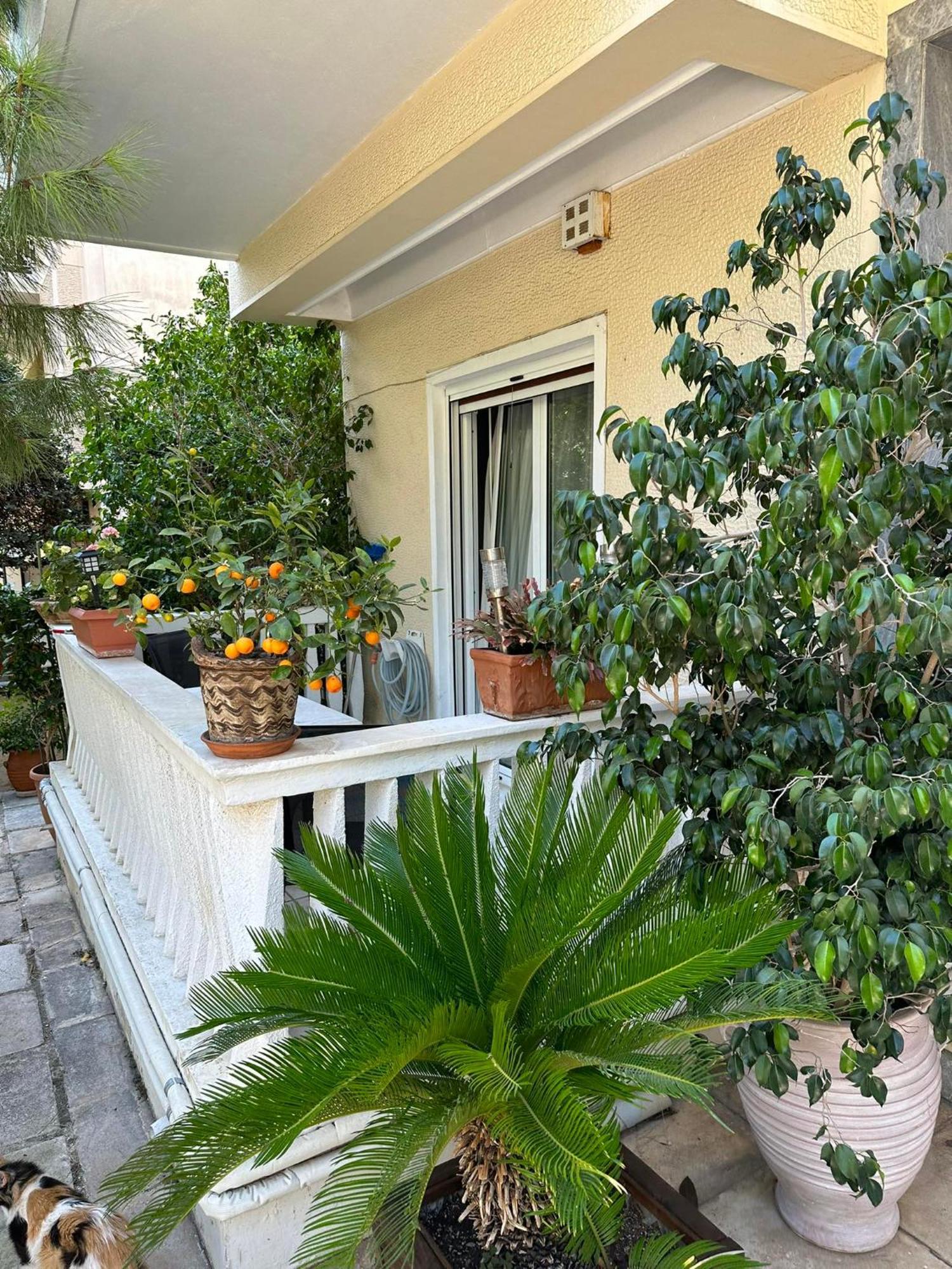 Angel , Luxury 2Bd Apartment Next To The Beach Athen Eksteriør billede